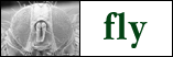  [fly] 